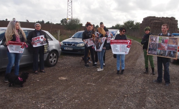 Граждански организации се събират на протест пред фермата за норки