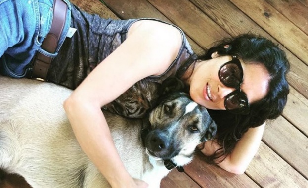 Още една холивудска звезда отглежда в дома си куче от