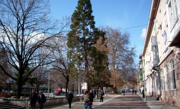 Съществува опасност Община Пещера да обяви бедствено положение след 1