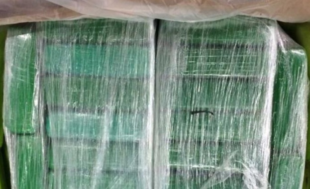 Белгийски митничари заловиха рекордните 7 тона кокаин в пристанището на