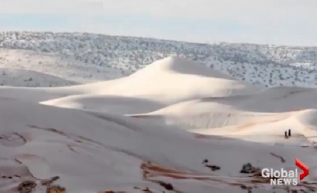 В пустинята Сахара отново заваля сняг съобщи алжирския вестник ТСА