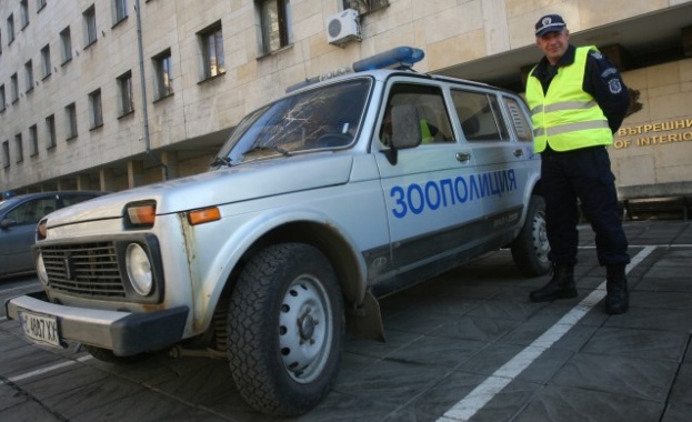 Общо 433 зоополицаи ще проверяват сигнали за жестокост спрямо животни