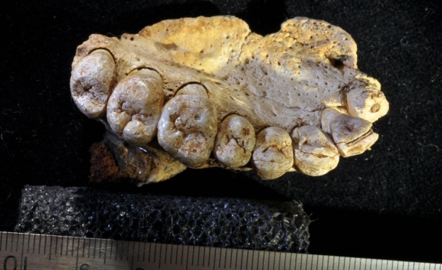 През 2007 година професор Лий Бъргър проучвал Южна Африка Той