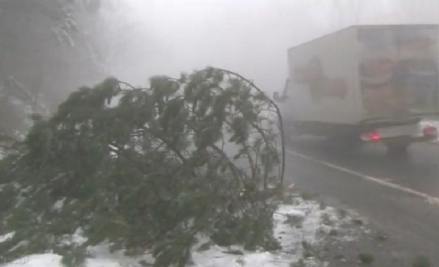 Обилен снеговалеж паднали дървета и затруднено движение на прохода Шипка