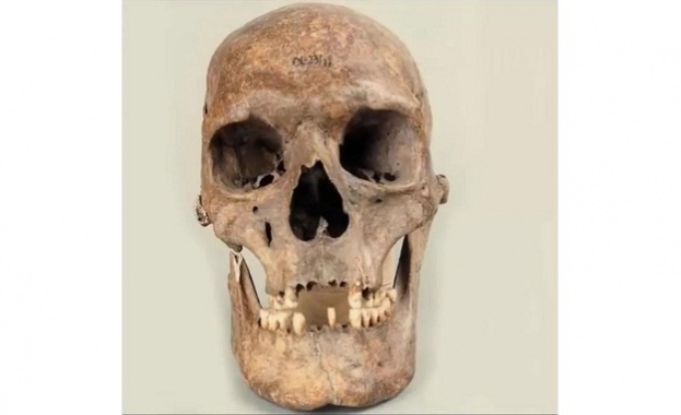 През 1977 година полски археолози откриват огромен череп на остров