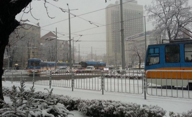 Катастрофа между автобус и трамвай №5 е станала на бул