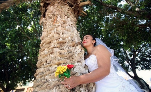 Мексиканки масово се омъжват за дървета с екологична цел така