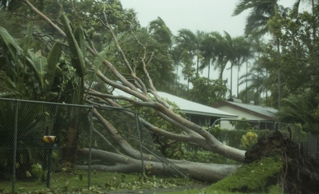 Мощен циклон в Австралия изкорени дървета и доведе до отмяната
