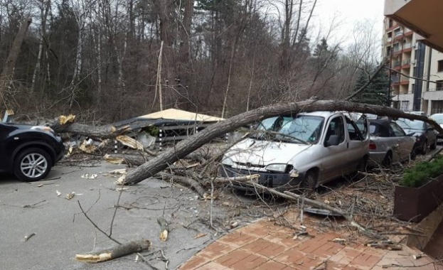 Екипите на Столична община са реагирали на близо 50 сигнала