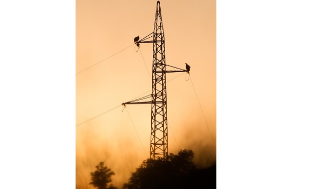 ЧЕЗ Разпределение България обезопаси рисково за птиците трасе в района