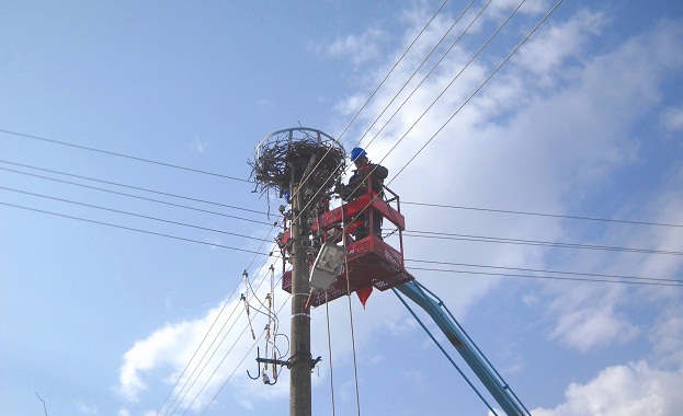 В периода преди пролетната миграция на птиците екипите на Електроразпределение