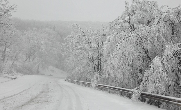 Усложнена пътна обстановка заради усиления снеговалеж в почти цяла България