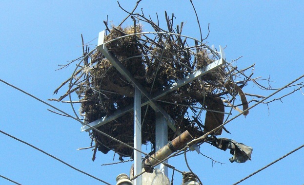 Със 195 нови платформи за обезопасяване на гнезда разположени на