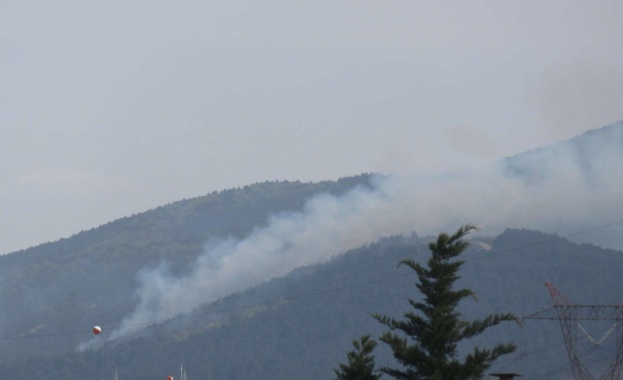 Пожар избухна в гората Санкактепе Айдос над Истамбул На място
