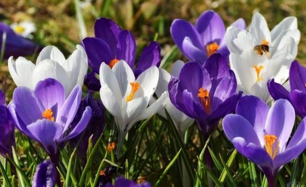 На 6 април Православната църква отбелязва смъртта на св Методий