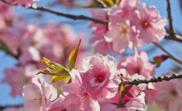 Днес от запад облачността ще се снишава и в следобедните