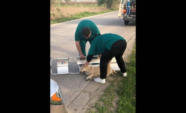 Николай Вършилов и Дияна Плачкова пътуват от Пловдив за Брестник