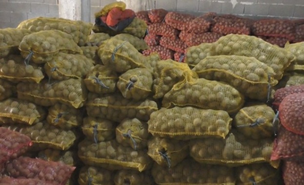 Заради липса на пазар тонове картофи залежават в Смолянско Вносната
