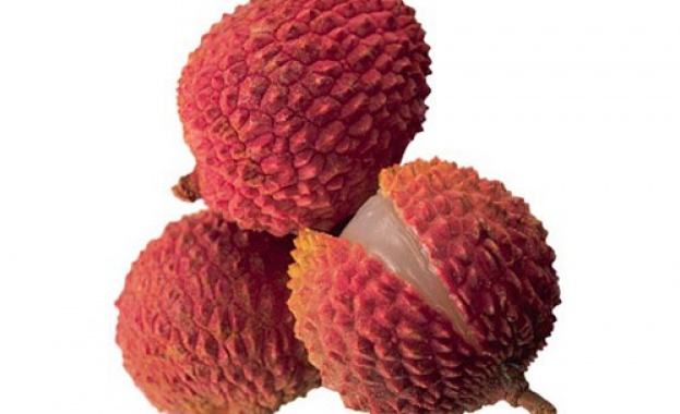 Смърдящи плод преизвика евакуацията на университет в Мелбърн Австралия предаде