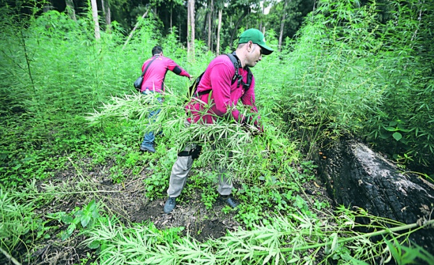 Млади сърби заминават за Съединените щати за да изживеят американската
