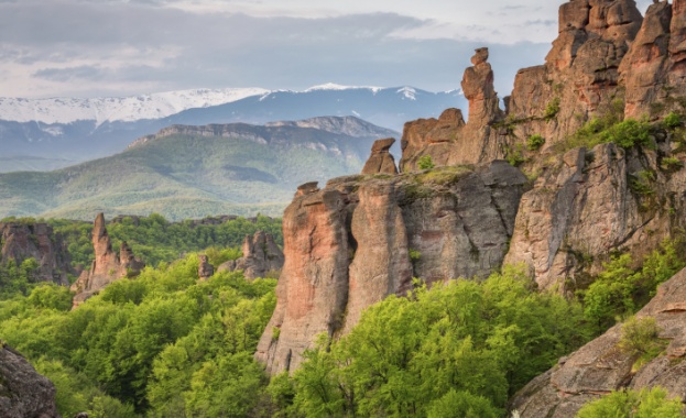 Туристи подеха инициатива за възстановяване на пътеката по туристически маршрут