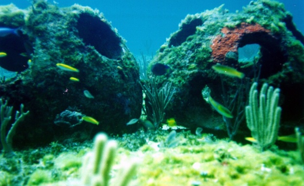 Учени които изследват зона на 300 м под океанската повърхност