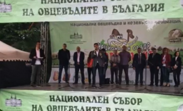 Няма как да не си горд българин като виждаш какви