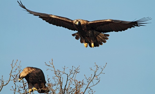 През 2018 г ще бъдат обезопасени над 1000 стълба от