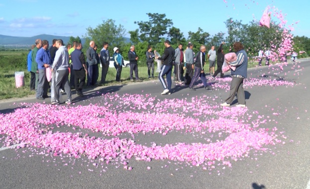 Производители на рози от Казанлък и региона протестираха тази сутрин