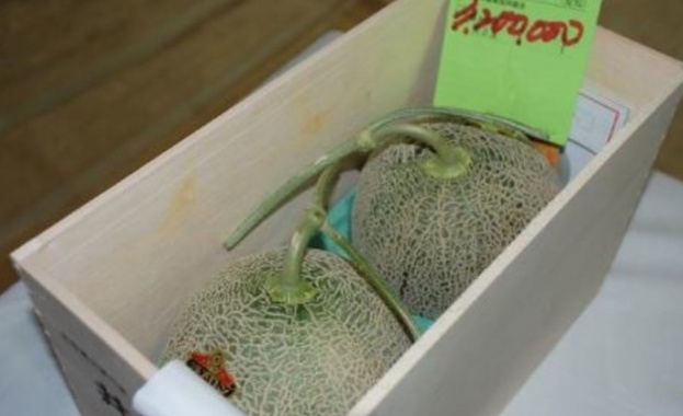 Чифт пресни пъпеши достигнаха рекордните 29 300 долара на търг