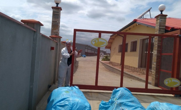 В село Стефаново община Добричка тече акция по умъртвяване на