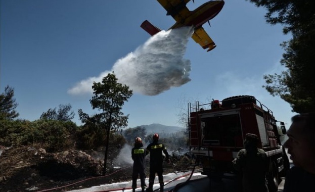 Голям пожар избухна в северно предградие на Атина днес следобед