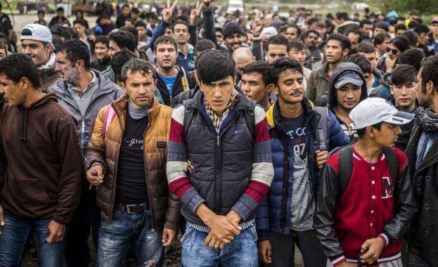 КРОСС Съветът на Европа прикани Унгария да се откаже от