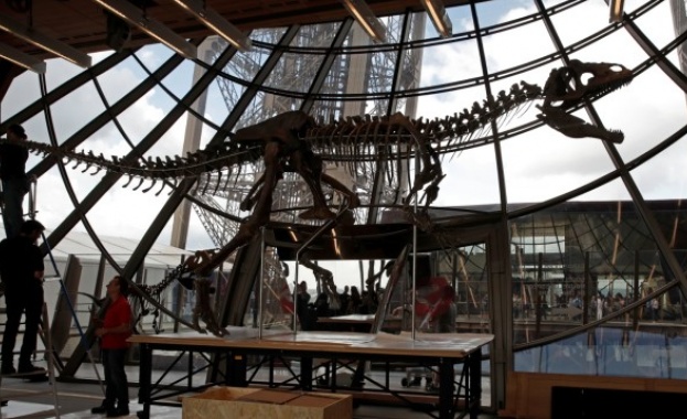 Скелет на теропод все още не добре проучен месояден динозавър