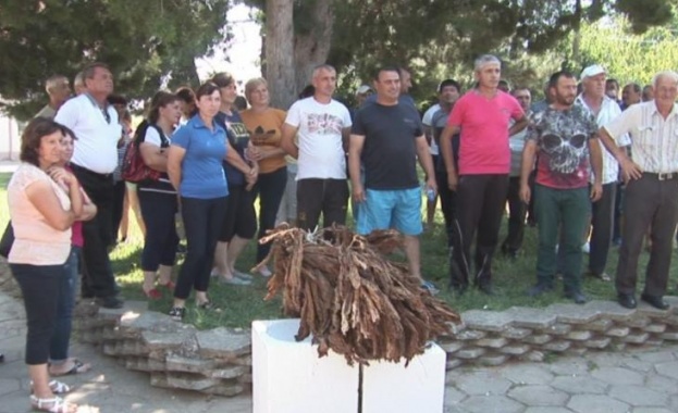 В силистренското село Искра днес тютюнопроизводители се събраха за да