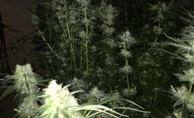 При проведени през последните два дни полицейски акции на територията