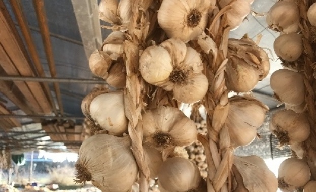 Място в Книгата на рекордите на Гинес завоюваха жители на