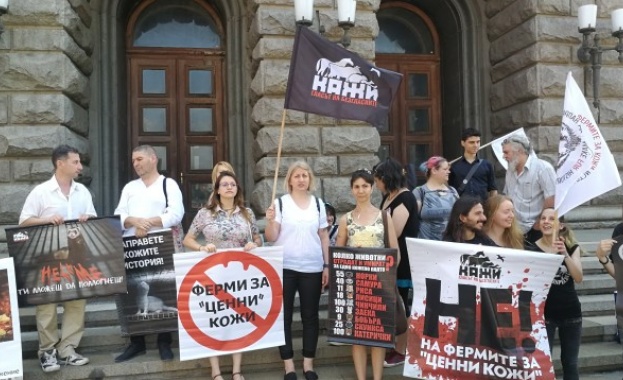 Активисти внесоха над 33 000 подписа в НС срещу отглеждането