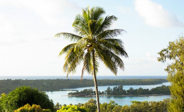 Земетресение с магнитуд 6 1 по скалата на Рихтер е регистрирано