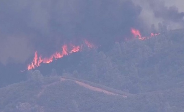 Горски пожар бушува отново в американския щат Калифорния Стихията застрашително
