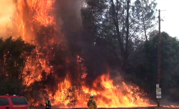 3000 души са евакуирани заради бързо разпространяващ се горски пожар