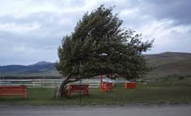 Днес времето ще продължи да бъде облачно ще има и