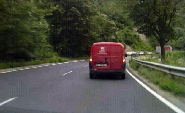 17 бездомни кучета са изхвърлени край село Стара Кресна твърди