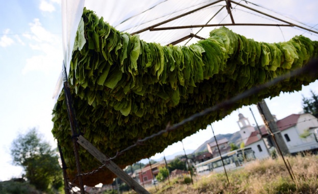 Няма конфликт между стратегическите интереси на Китай и Европа категоричен