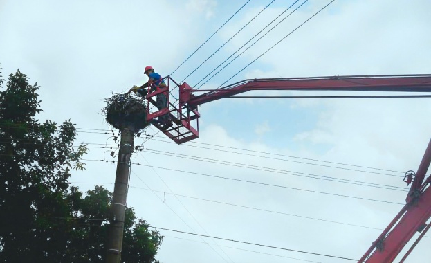 Жителка на село Петров дол община Провадия се обърна към