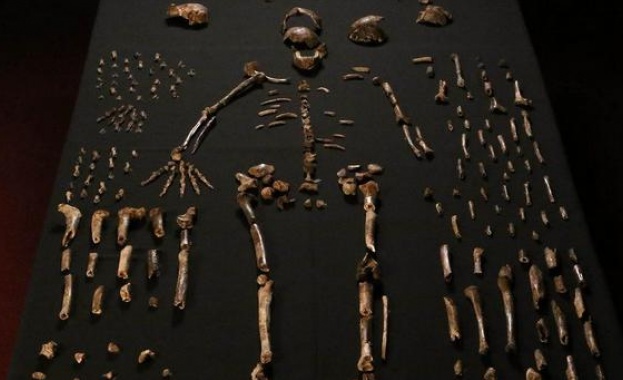 Древни оръдия на труда на рекордна възраст са били открити