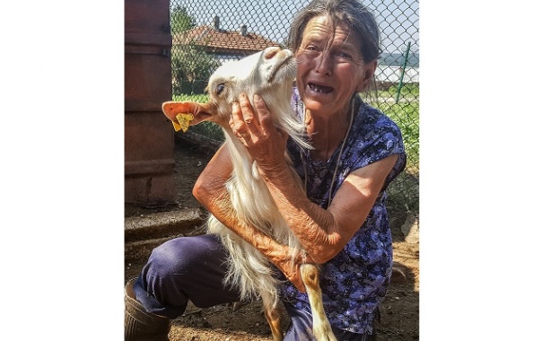 Държавата убива животновъдството и селата Държавата убива животновъдството и селата