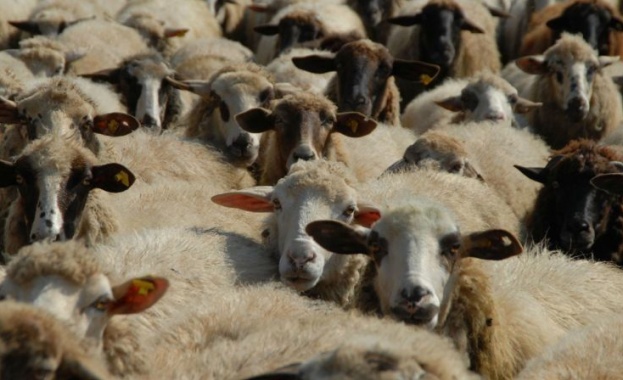 БСП сезира Окръжна прокуратура Ямбол и Софийски административен съд