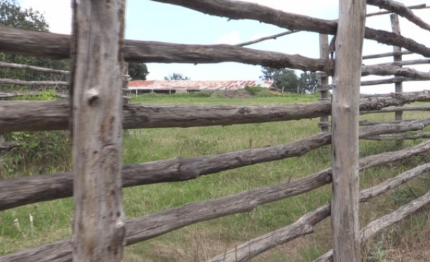 Българската агенция по безопасност на храните БАБХ започна изплащането на