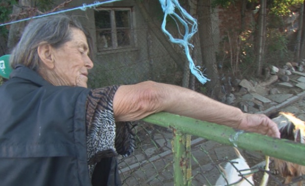 Единственото останало стадо животни в засегнатото от чума село Шарково